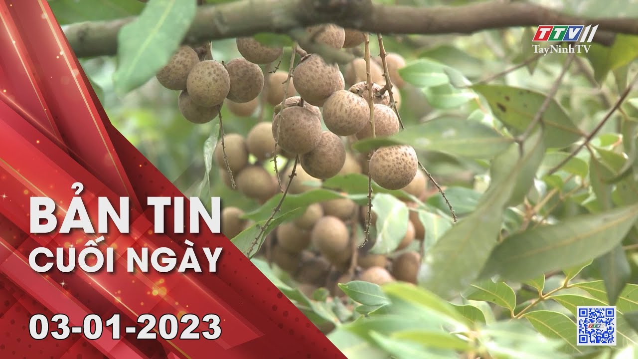 Bản tin cuối ngày 03-01-2023 | Tin tức hôm nay | TayNinhTV